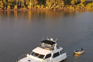 Picture of Troubadour
