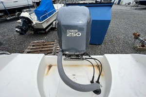 Photo 3308944 for 2008 Century 2350 Dual Console  