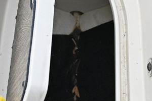 Sand  amp  Seas 28ft Sea Ray Yacht For Sale