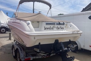 Jewel of the Sea 21ft Sea Ray Yacht For Sale