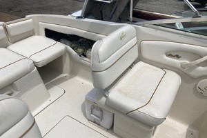 Jewel of the Sea 21ft Sea Ray Yacht For Sale