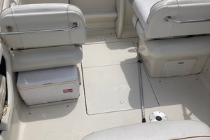Jewel of the Sea 21ft Sea Ray Yacht For Sale