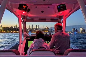 Photo 3328309 for 2019 Sea Fox 328 Commander  