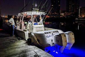 Photo 3328305 for 2019 Sea Fox 328 Commander  