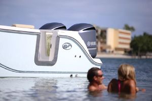 Photo 3328330 for 2019 Sea Fox 328 Commander  