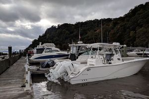 Photo 3328304 for 2019 Sea Fox 328 Commander  