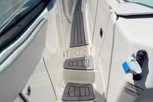 Photo 3345671 for 2020 Sea Ray 320 Sundancer Money in the Tank 