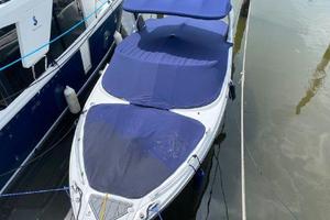 Photo 3369931 for 2021 Monterey 255 SS  