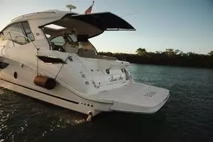 2019 Sea Ray Sundancer Coupe thumbnail 9