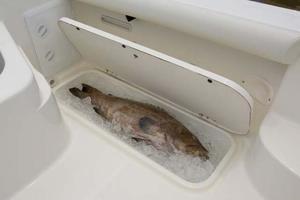 Photo 3401741 for 2011 Trophy 2102 Walkaround  