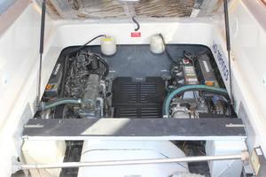 True North 34ft Mainship Yacht For Sale