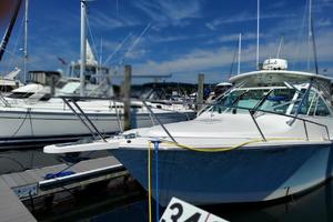 30ft Regulator Yacht For Sale