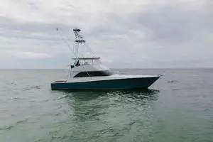 2007 64 Viking CNV Evil Eyes Profile (1)