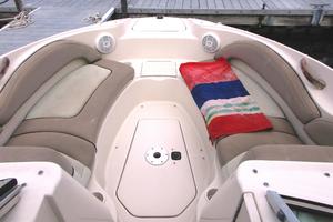 RING OF FIRE 22ft Sea Ray Yacht For Sale