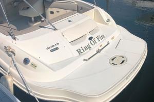 RING OF FIRE 22ft Sea Ray Yacht For Sale