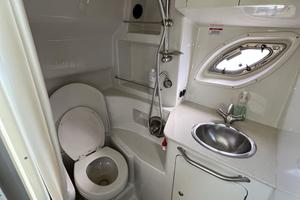 License To Chill 33ft Sea Ray Yacht For Sale