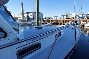 RUBY 34ft Legacy Yacht For Sale