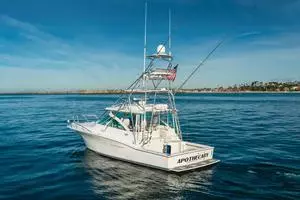 Apothecary 2011 Cabo Yachts Express Yacht For Sale in Long Beach CA