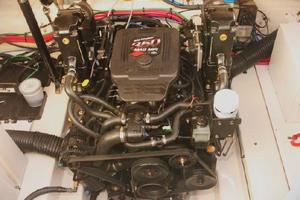 Photo 3506359 for 2006 Sea Ray 260 Sundancer  