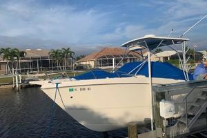 25ft World Cat Yacht For Sale