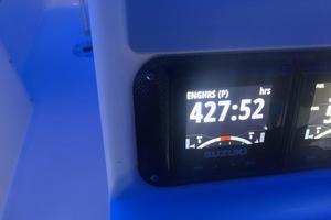 25ft World Cat Yacht For Sale