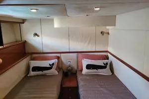 1999 Sunseeker Predator 58 thumbnail 18