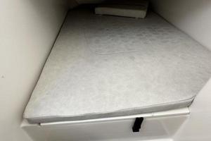 Photo 3623851 for 2023 Sea Fox 328 Commander  