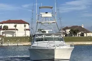 1993 Bertram 46 Moppie thumbnail 21
