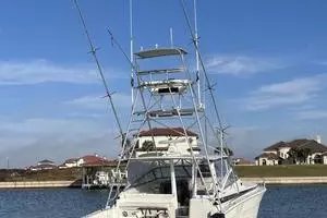 1993 Bertram 46 Moppie thumbnail 20