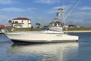 1993 Bertram 46 Moppie thumbnail 22