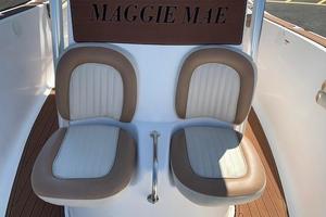 Photo 3642863 for 2010 Sea Fox 256 Pro Series  