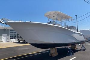 Photo 3642858 for 2010 Sea Fox 256 Pro Series  