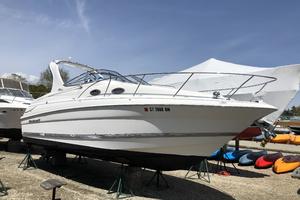 AMY 26ft Wellcraft Yacht For Sale
