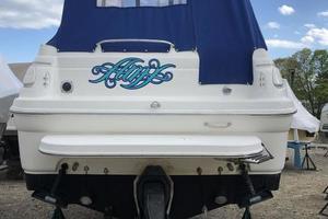 AMY 26ft Wellcraft Yacht For Sale