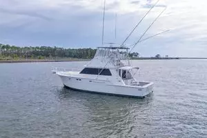 1981 Bertram 42 Convertible thumbnail 28