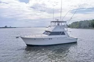1981 Bertram 42 Convertible thumbnail 30