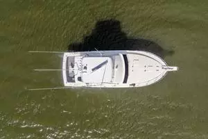 1981 Bertram 42 Convertible thumbnail 25