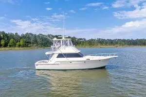 1981 Bertram 42 Convertible thumbnail 1