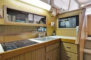 1981 Bertram 42 Convertible thumbnail 6