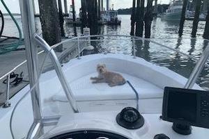 No Name 18ft Boston Whaler Yacht For Sale