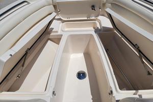 Photo 3703915 for 2019 Grady-White 235 DC  BOW HATCHES