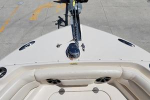 Photo 3703913 for 2019 Grady-White 235 DC  WINDLASS