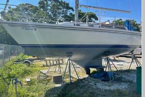 Free At Mast 30ft Catalina Yacht For Sale Free At Mast 30ft Catalina Yacht For Sale