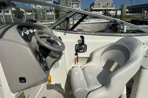 Photo 3830911 for 2009 Stingray  1/2 Dozen 