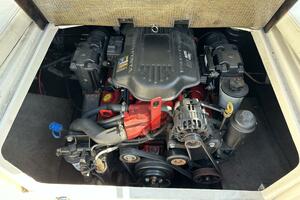 Photo 3830906 for 2009 Stingray  1/2 Dozen 