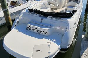 Photo 3820604 for 2009 Stingray  1/2 Dozen 