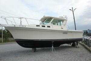 Obsession 31ft Albin Yacht For Sale