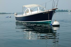 Blue Blazer 29ft Dyer Yacht For Sale