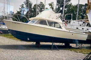 1972 Bertram Fly Bridge Cruiser thumbnail 7