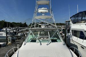 Photo 3899583 for 2002 Cabo 35' Express Lady A Q 